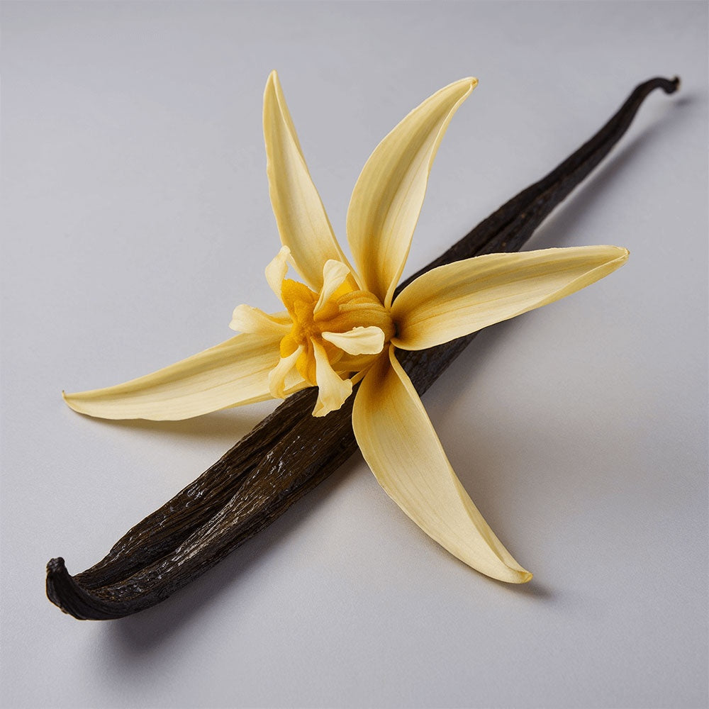 Behold Botanica Whipped Tallow