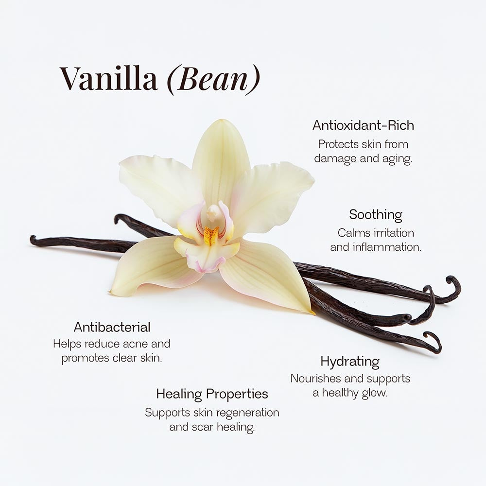 Behold Botanica Whipped Tallow