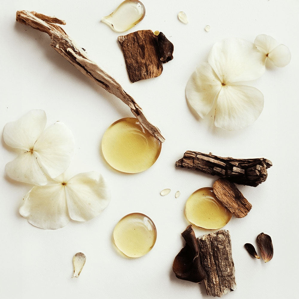 Behold Botanica Whipped Tallow